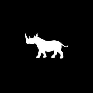 Wild Rhino Shoes