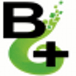 Bitsum