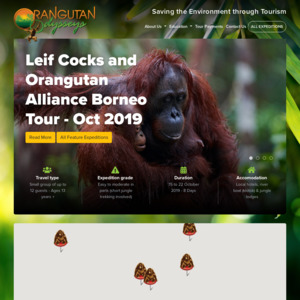 orangutanodysseys.com