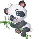 Panda Baby Supplies
