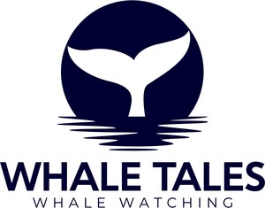 Whale Tales Whale Watching