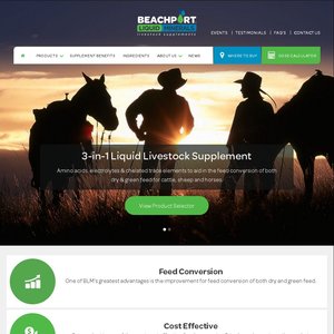 beachportliquidminerals.com.au