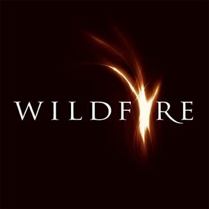 Wildfire International