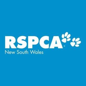 RSPCA New South Wales