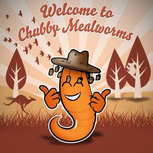 Chubby Mealworms