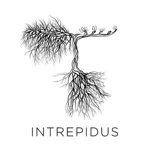 Intrepidus Wines