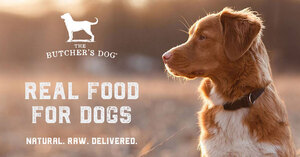 thebutchersdog.com.au