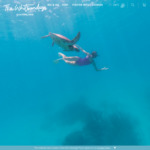 tourismwhitsundays.com.au