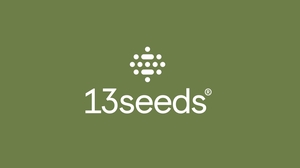 13seeds