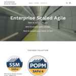 Enterprise Scale Agile