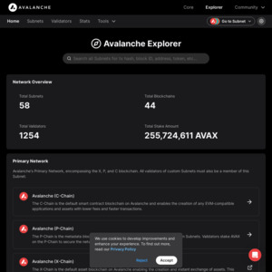 Avalanche Explorer (Blockchain Ledger)