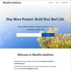 mindfulambition.net