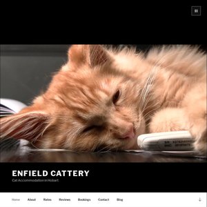 Enfield Cattery