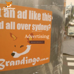 brandingo.com.au
