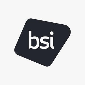 The British Standards Institution