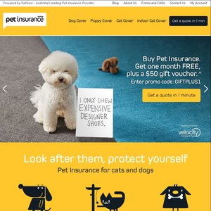 Pet Insurance