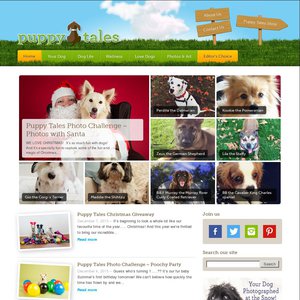 puppytales.com.au