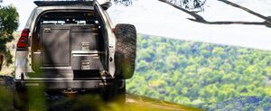 rvss.com.au