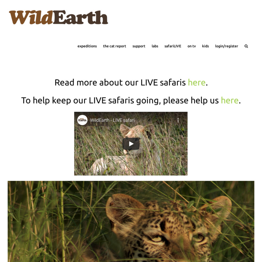 Daily Hosted Safari Drive Live Stream @ WildEarth - OzBargain Forums