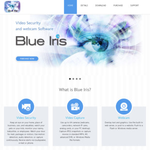 blueirissoftware.com
