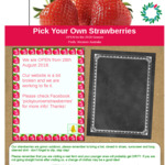 pickyourownstrawberries.com.au