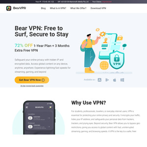 bearvpn.com