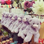 Lavender Teddy Bears w/ Heat Pack Now Only $44.96 Shipped @ MeeQ