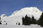 Win 6 Days Rental Car, 5 Nts Hotel, Lift Passes in Oregon (USA) [No Flights] from Snows Best