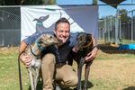 [WA] Greyhound Adoptions $75 (Usually $350) @ Greyhounds as Pets