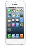 iPhone 5 16GB- $699 + $19 Shipping