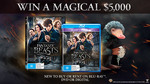 Win $5,000 Cash or 1 of 20 Fantastic Beasts and Where to Find Them DVDs Worth $39.95 from TENPlay