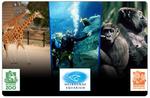 Entry to Melbourne Aquarium, Melbourne Zoo & Werribee Zoo - all 3 for $49 (save $75)