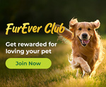 Free Nexgard Spectra Sample Tablet + $10 Shipping (Free Furever Club Membership Needed) @ Budget Pet Products