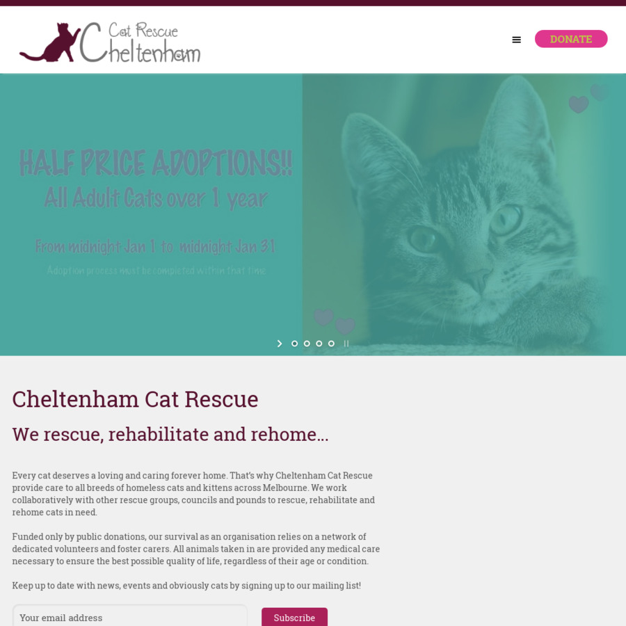 [VIC] 50 off Cat Adoptions Cheltenham Cat Rescue OzBargain