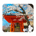 50% off Singaporean Data eSIMs @ Eskimo