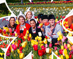 Win a Family Pass, $100 Food/Beverage Voucher to The Tesselaar Tulip Festival (VIC) from Nova FM