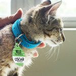 Cute Customised Pet Tags from Photobook Australia @ LivingSocial Australia - $4.95