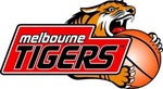 Last Minute NBL Melbourne Tigers Tickets for This Sunday Night V Cairns Taipans! Adults 49% off