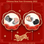 Win a KZ ZEX and KZ DQ6 IEM worth ~$60USD from KZ Official Store