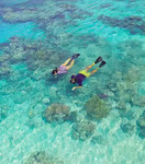 Win a 7 Day Luxury Tropical Escape for 2 (Cairns and Great Barrier Reef) Worth $20,000 from Tourism and Events Queensland