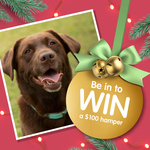 Win a $100 Vitapet Dog Food and Dog Treats Hamper from Vitapet