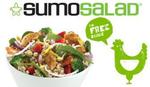 OurDeal: Any Medium Fast Deli Salad from Sumo Salad for $5