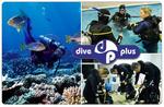 Open Water Dive Certification/Course $134, Melbourne 18mth-valid-coupon