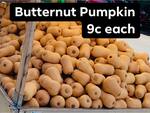 [WA] Whole Butternut Pumpkins $0.09 Each @ Galati & Sons - Fremantle