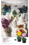 Assorted Indoor Plants 140mm $14.99, 180mm $16.99, Mother's Day Preserved Arrangement $45 + More @ ALDI