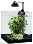 Eheim Aquastyle 24 Fish Tank with LED and Filter $179 + $7.50 Shipping