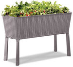 Keter Rattan Elevated Garden Bed $55 Save $55 @ Masters Home Improvement