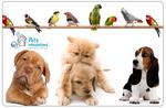 $20 for $50 Worth of ANYTHING (except Premium Food) at Pets Wonderland- Melbourne