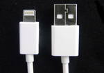 IN STOCK - iPhone 5 Lightning to USB Cable + Case $11 + $2 Shipping