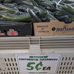[QLD] Australian Continental Cucumbers $0.05 Each @ Skippys Fresh Frootz (Victoria Point)